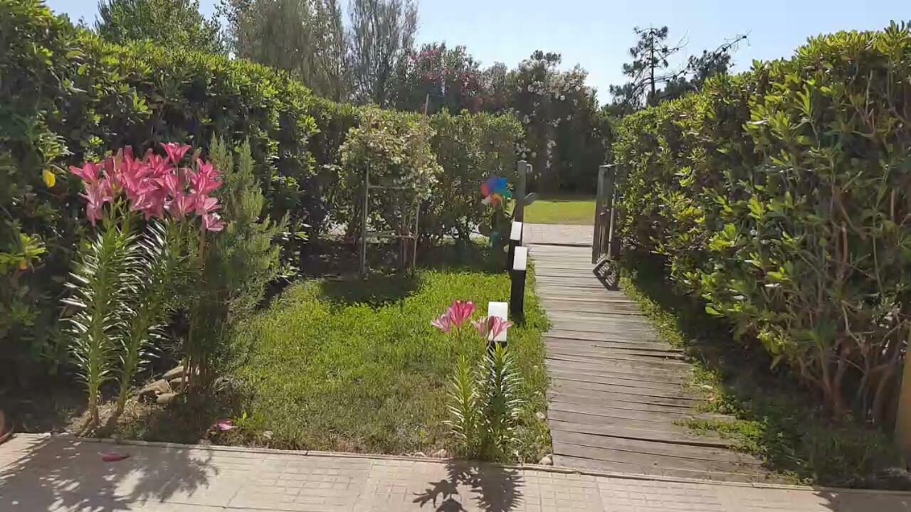 Sea Beach Relax Tirrenia Εξωτερικό φωτογραφία