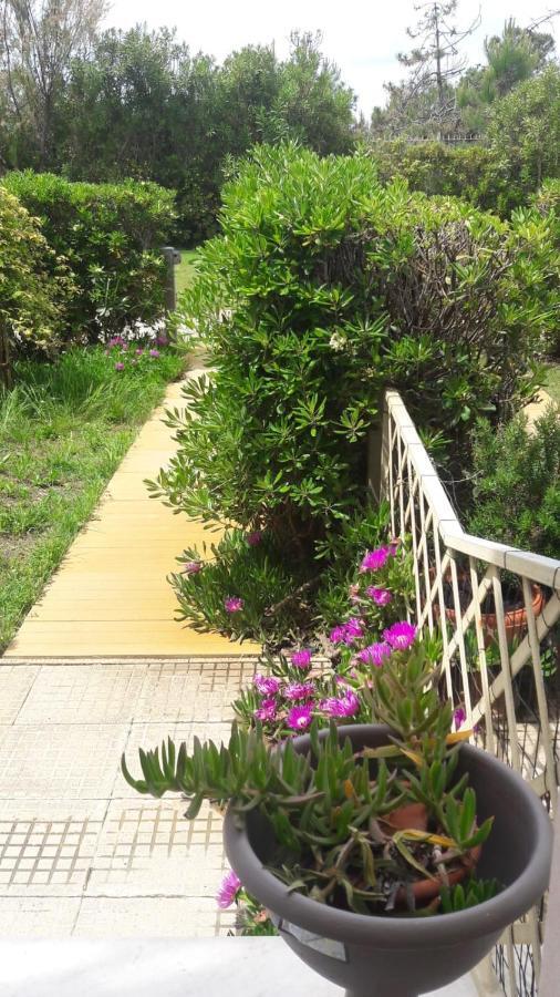 Sea Beach Relax Tirrenia Εξωτερικό φωτογραφία