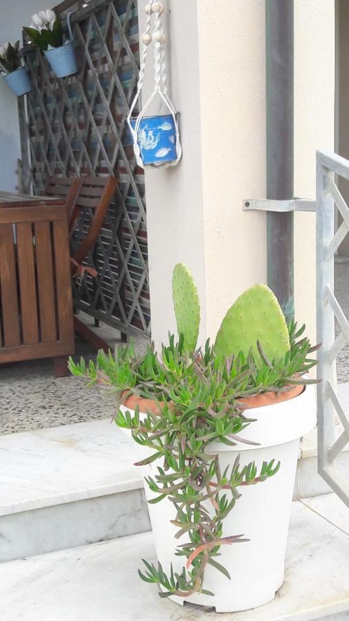 Sea Beach Relax Tirrenia Εξωτερικό φωτογραφία